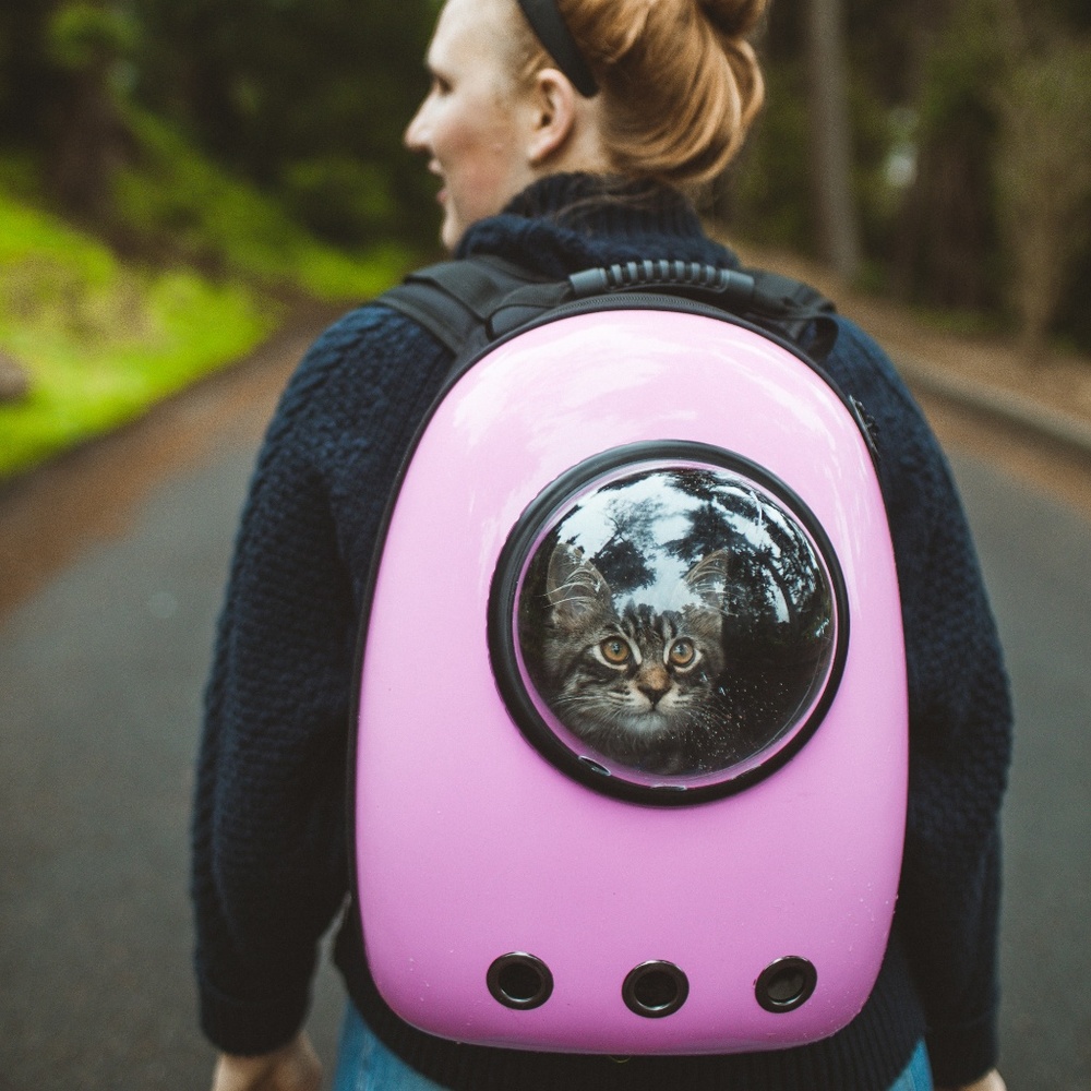 Pink Cat Backpack